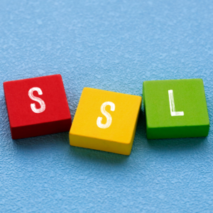 Level 3 SSL Certificate