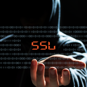 Level 4 SSL Certificate