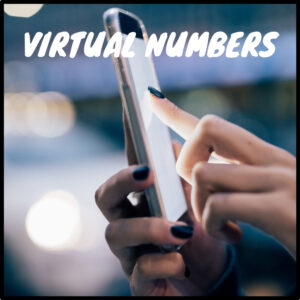 Virtual Numbers